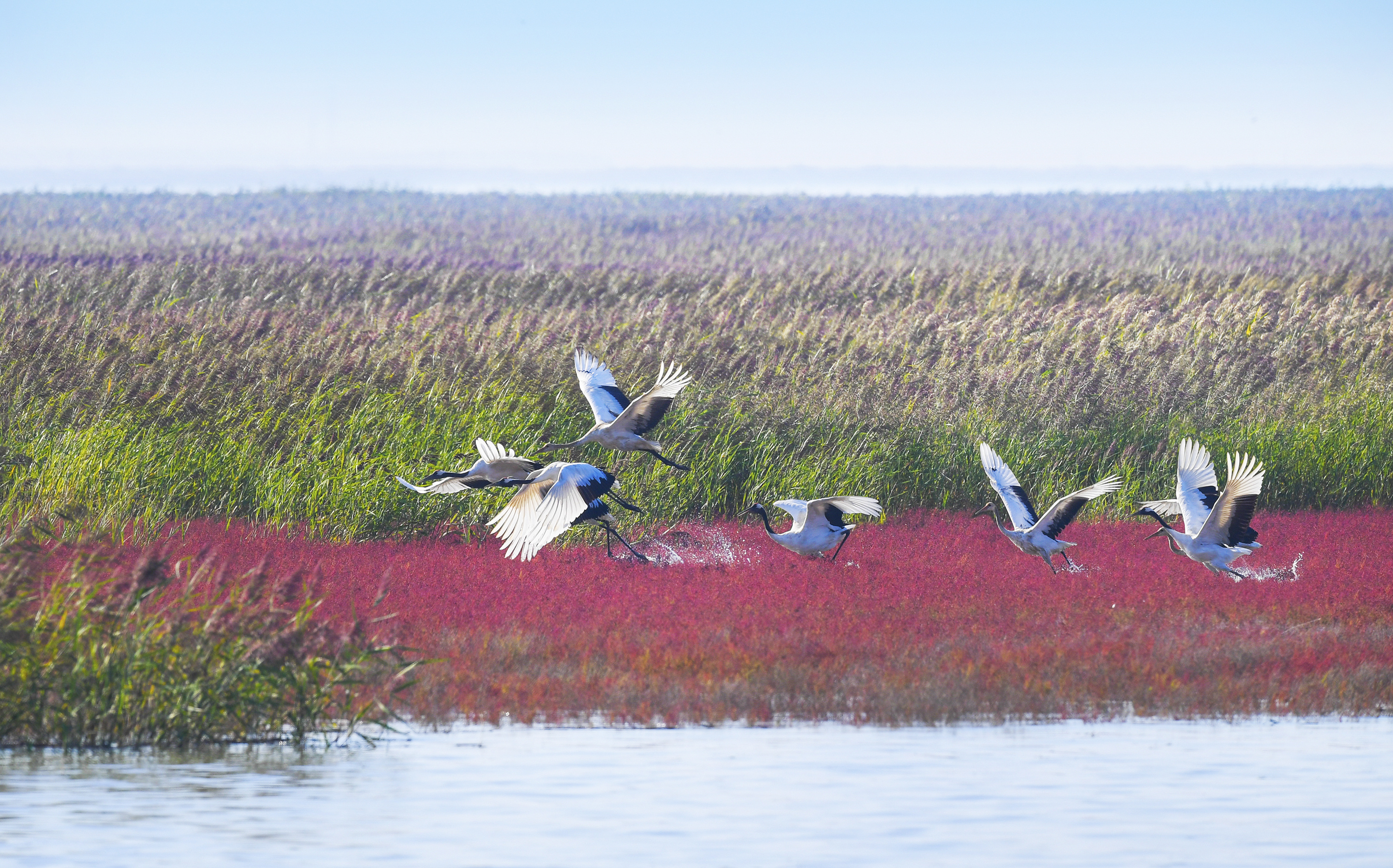 0fa62d6fa7eb2deb203e115960ce407.jpg?x-oss-process=style/w10