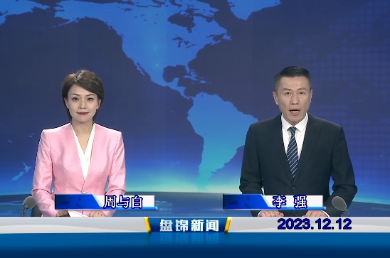 视频丨优质购彩平台2023-12-12