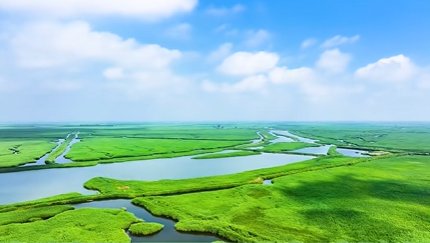 苇海映长河 辽河口湿地风光尽收眼底